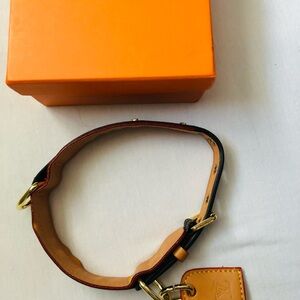 Louis Vuitton dog collar